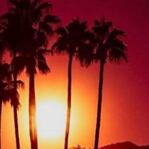 Meet your Posher, Douglas